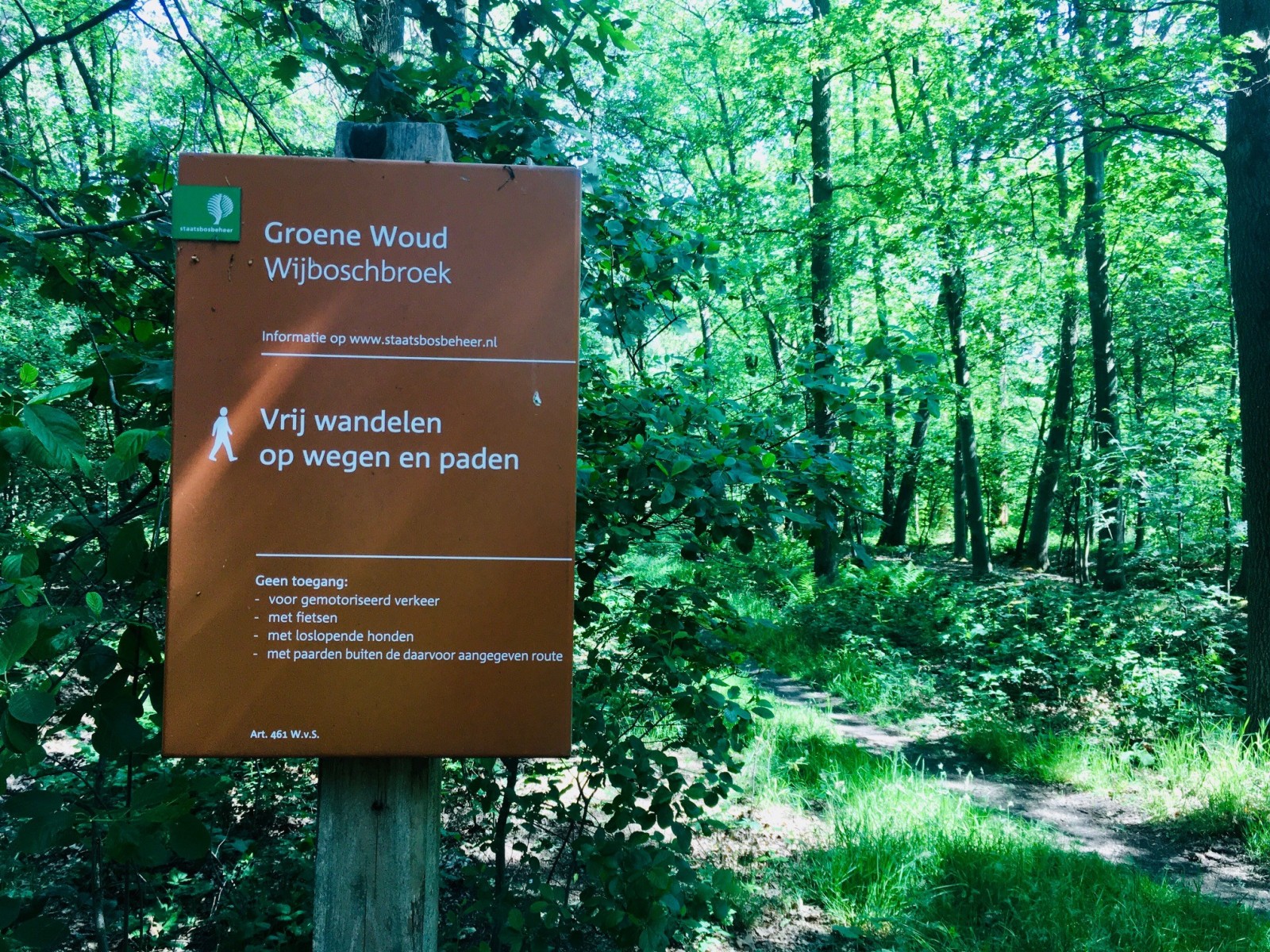 Wijboschbroek natuurgebied